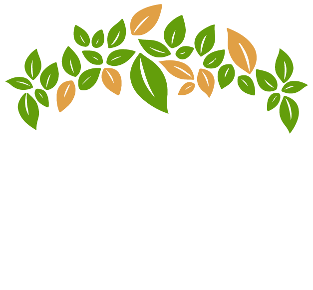 Dollar Investment Club